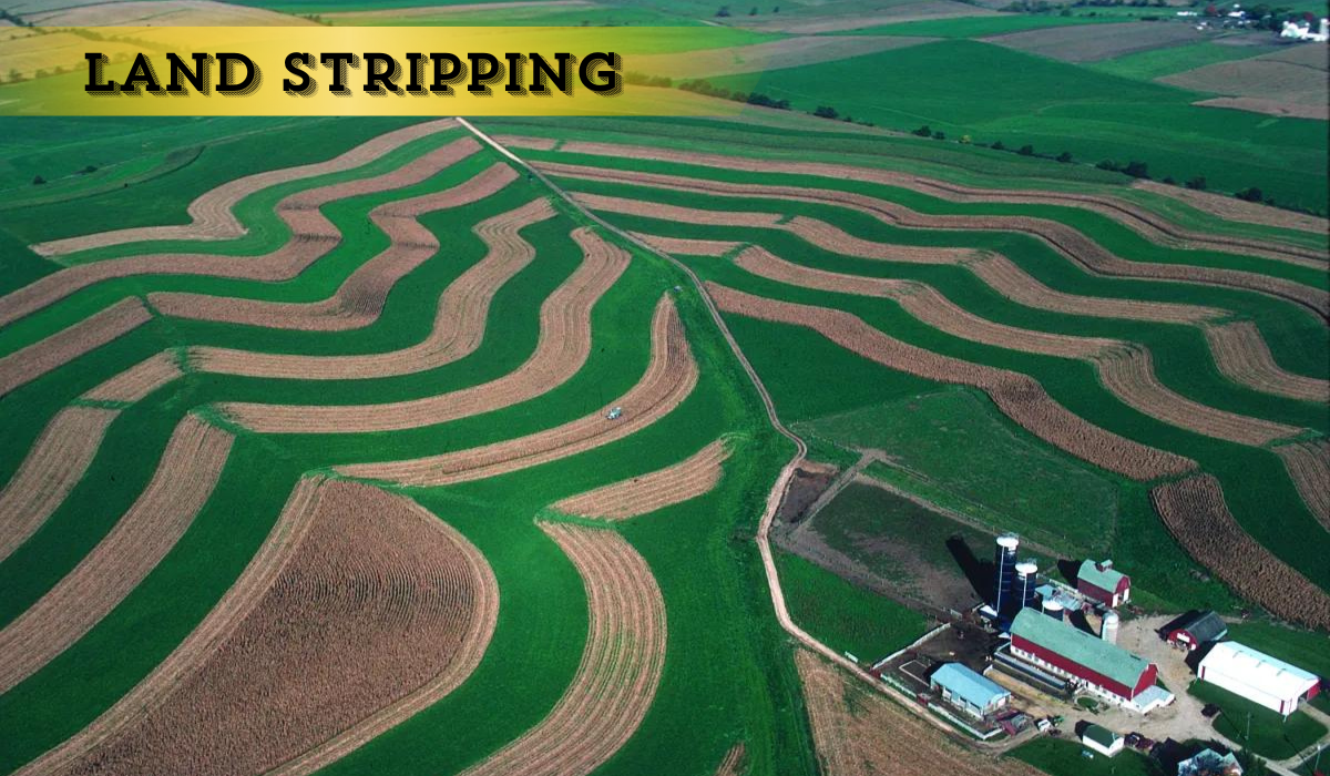 land stripping