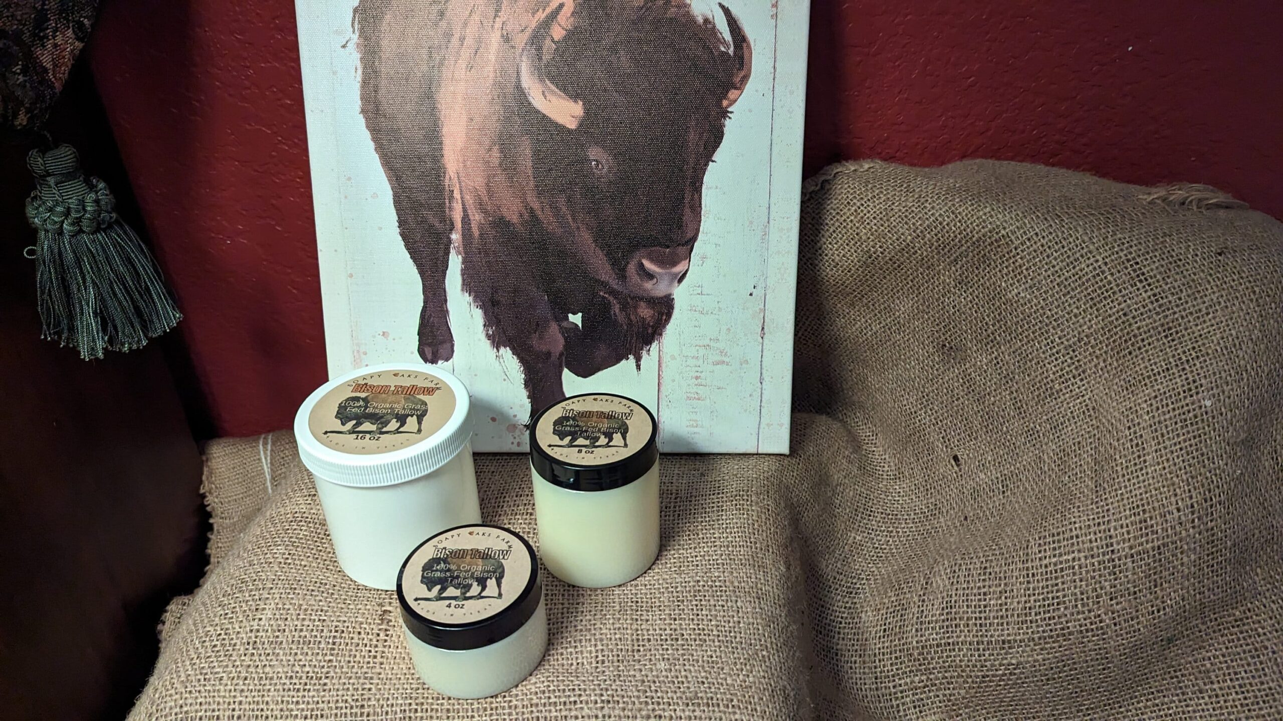 Bison Tallow