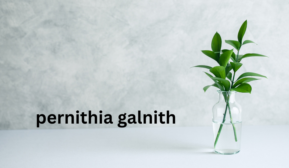 what is pernithia galnith