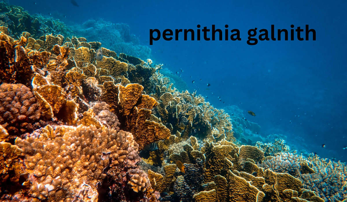 Exploring Pernithia Galnith: An Ecological Sanctuary Battling Climate Change and Deforestation